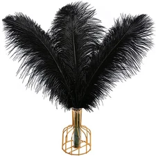 THARAHT 12pcs Black Ostrich Feathers, 12-14" (30-35cm) Large Natural Bulk