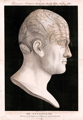 1834 Poster Dr. Spurzheim Portrait of human head - divisions of the organs Print