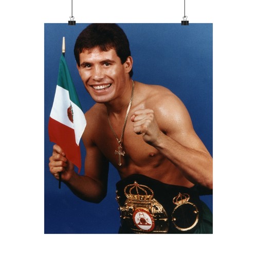 Póster Julio César Chávez Campeón de Boxeo de México Leyenda Mexicana Boxeo Latino - Imagen 10 de 21