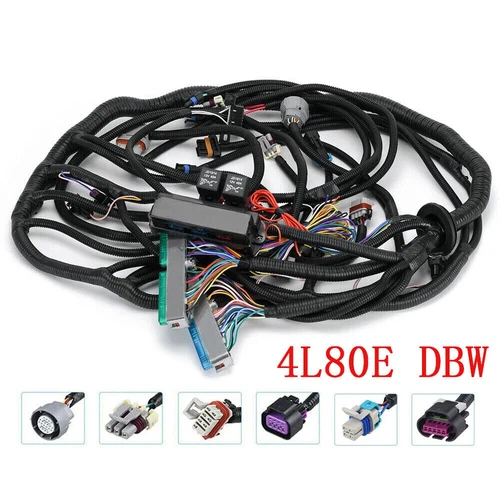 Stand Alone Wire Harness Engine LS3 4L80E 4.8 5.3 6.0 Vortec DBW (Drive By Wire)