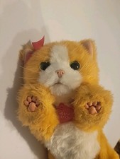FurReal Friends Daisy Plays With Me Kitty Hasbro Interactive meows,purrs moves