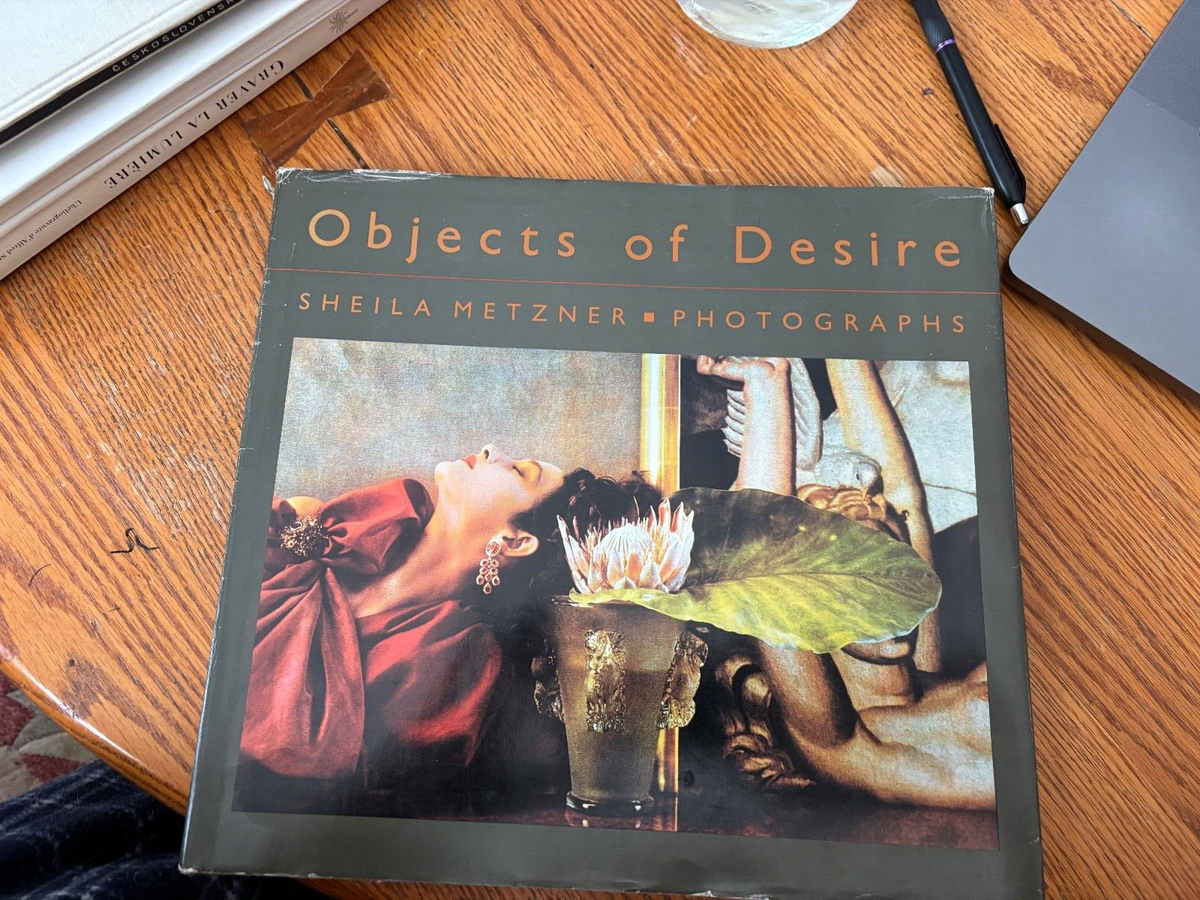 Sheila Metzner. Objects of Desire. Signed 1st ed association copy 