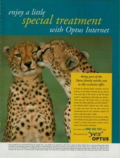 2000 Optus Internet Kissing Cheetah Couple Special Treatment Vintage Print Ad