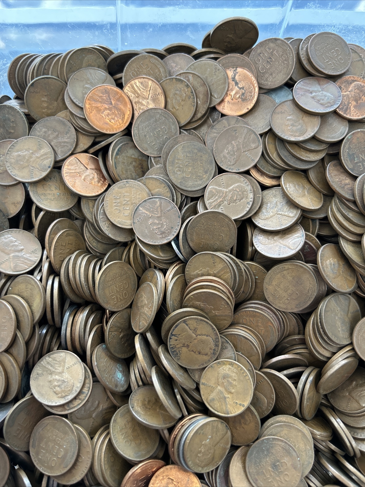 Bag of 5000 1909 1958 Wheat Cents Unsearched Coin Shop Hoard 5 eBay