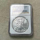 2013-W Burnished American Silver Eagle NGC MS70 B054
