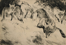 CURT MEYER-EBERHARDT Radierung Füchse handsigniert Tiergrafik 1930er Jahre
