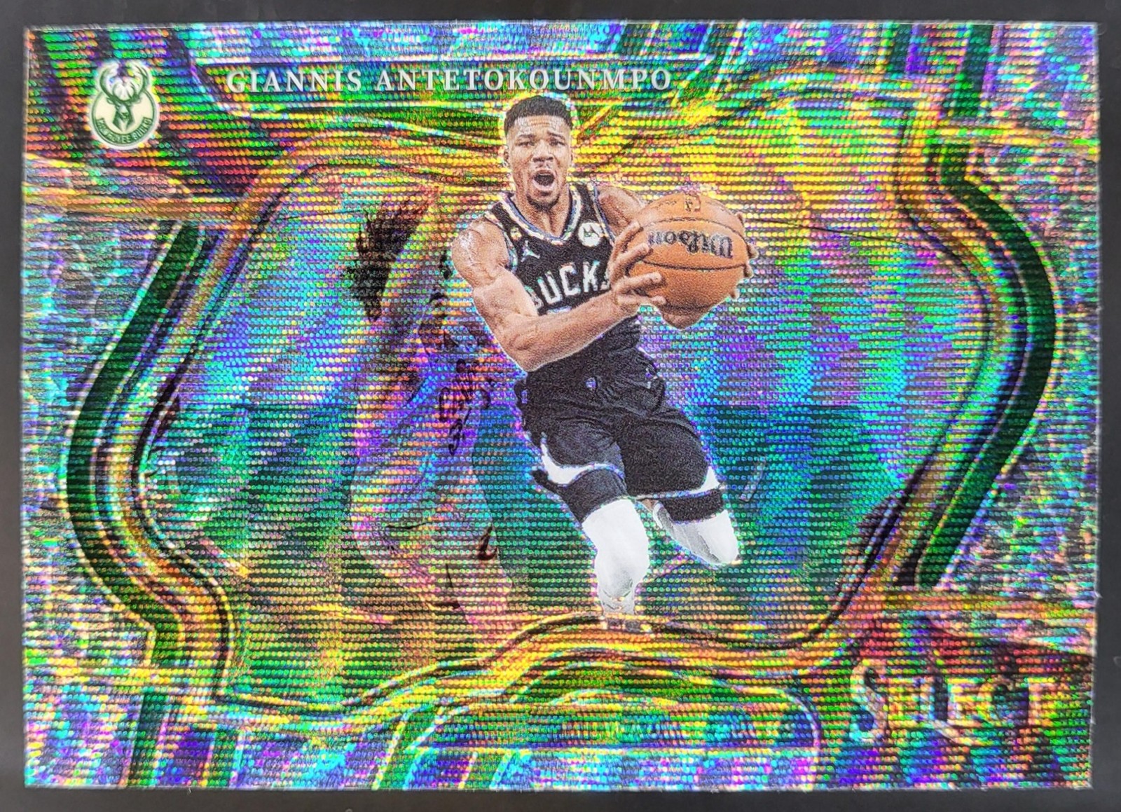 2022-23 Panini Select Giannis Antetokounmpo Elephant SSP Courtside Bucks CC9