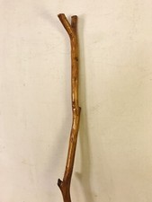 Vintage Cane.natural shape.No breaks Solid. 48 x1 .SEE7PIX4Closeups.MAKE OFFER