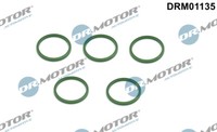 Dr.Motor Automotive DRM01135 Seal Ring, Turbo Air Hose For Audi Seat Skoda VW