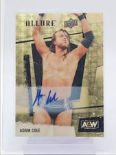 2026 Upper Deck Allure AEW Wrestling Guide in-content 39