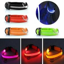 USB RECHARGEABLE LED Dog Pet Light Up Safety Collar Night Glow Adjustable HOT