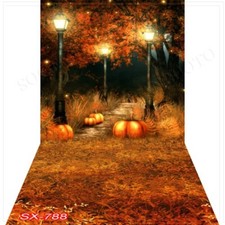 10'x20' CP Pumpkin Halloween Scenic Microfiber Fabric background backdrop SX788