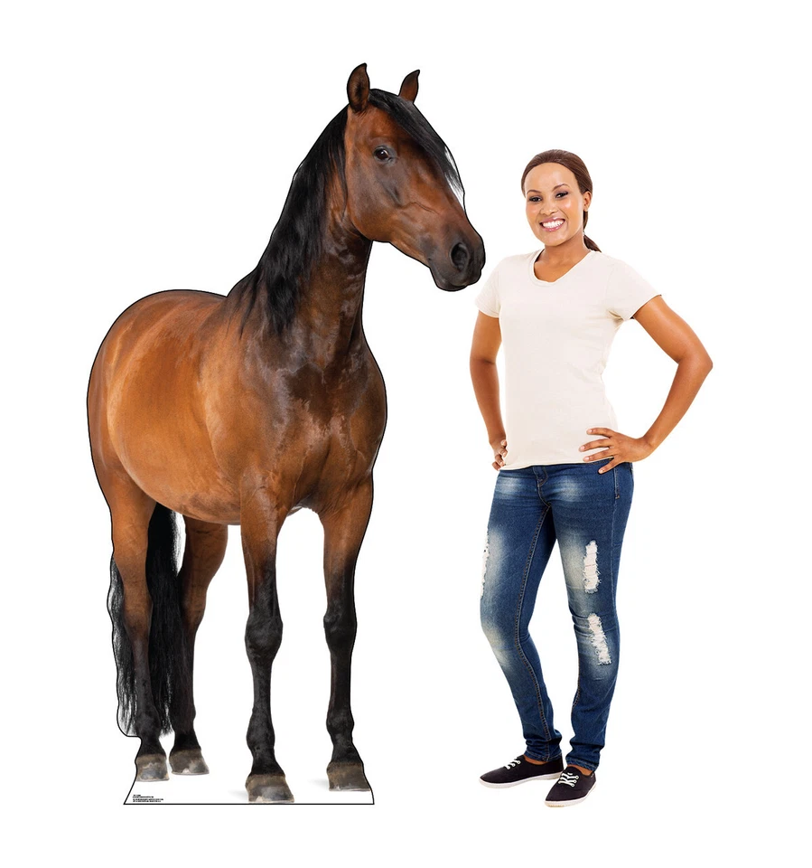 HORSE Lifesize Standup Standee Cardboard  CutOut Prop Thoroughbred  Large West - Image 2 of 4