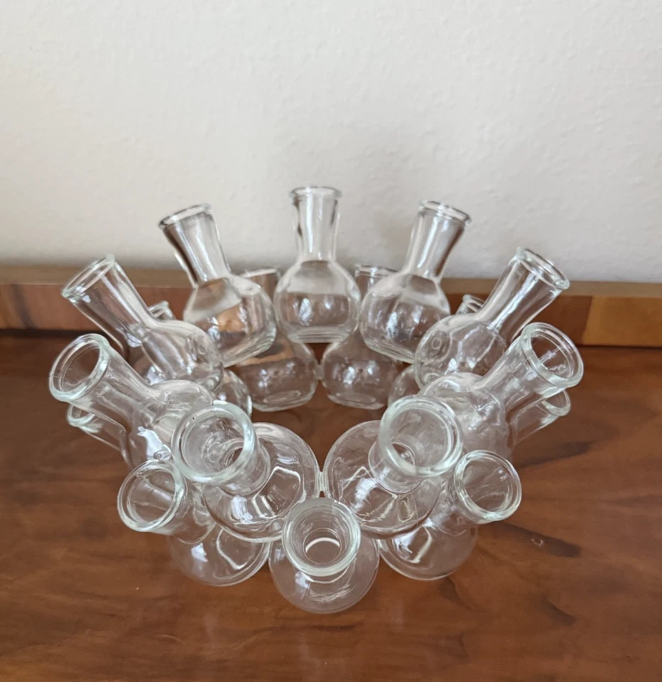 Jarrón vintage de 18 botellas con anillo en racimo estación de propagación de plantas flor rana brote Foto 2 de 4