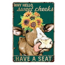 WHY HELLO SWEET CHEEKS HAVE A SEAT Tin Metal Signs Home D cor 8x12