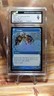 MTG Ponder (Future Sight) Secret Lair Drop Foil  CGC  9