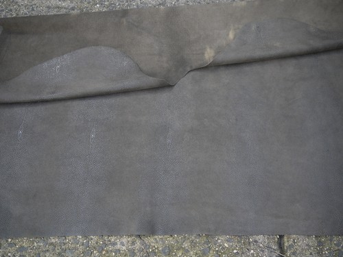 Stingray Embossed leather Hide Top Quality. 17 Square Feet Espresso - Picture 3 of 5