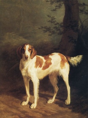 002 Agasse, Jacques-Laurent - Dash, A Setter By A Tree 1816