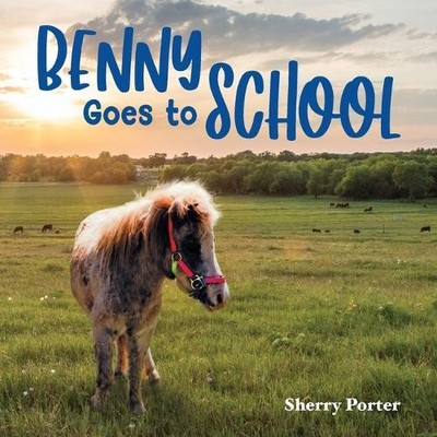 Sherry Porter Benny Goes to School (Taschenbuch)