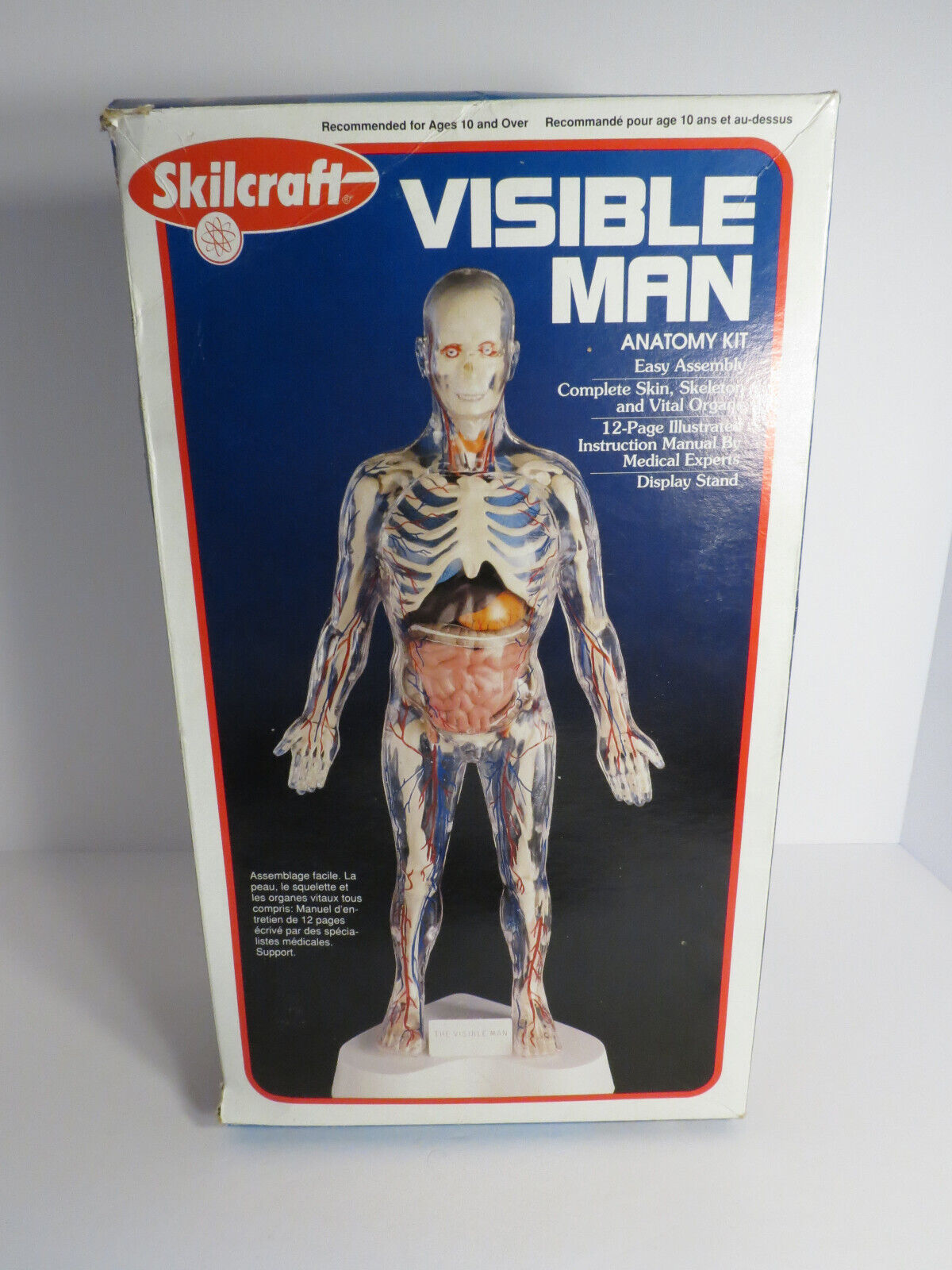 Skilcraft Visible Man Model Anatomy Kit 74622 1999