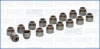 Ajusa Dichtungssatz Ventilschaft 57024800 FüR Renault Infiniti Nissan Koleos G20