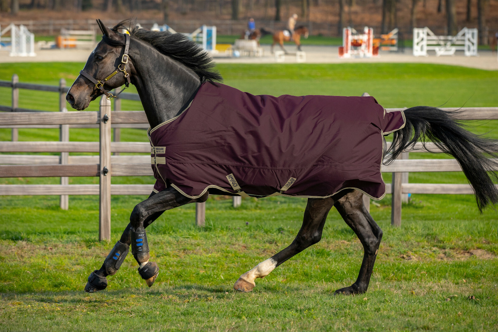 Horseware Amigo Hero 600d Ripstop Turnout Rug Lined Lightweight 0g Lite
