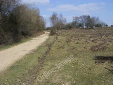 Photo 6x4 Cycle Route Fritham Cycle Route Powder Mill Road across Howen B c2010
