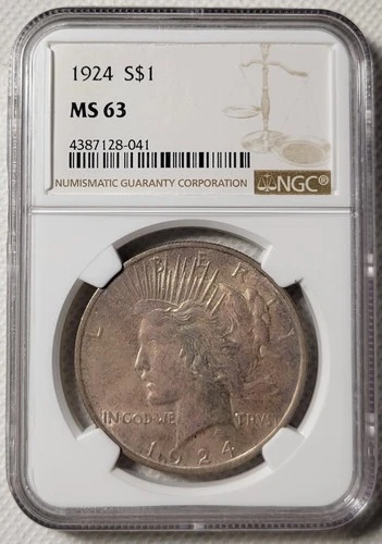 1924 $1 Peace Dollar NGC MS63 Toned