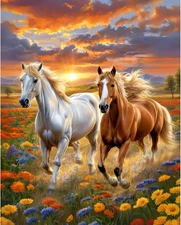 Horse Paint by Numbers Kit for Adults 16x20 DIY Canvas Painting Set