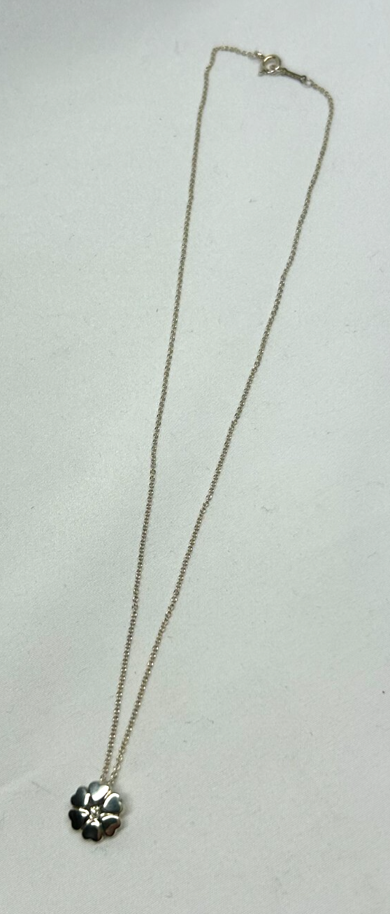 Picture 4 of 16