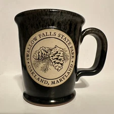Swallow Falls State Park Oakland Maryland USA Coffee Mug Stoneware