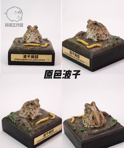 1/1 Chacophrys Pierottii Modelo Rana Animal Salvaje Figura GK Colección Decoración Regalo - Imagen 10 de 15