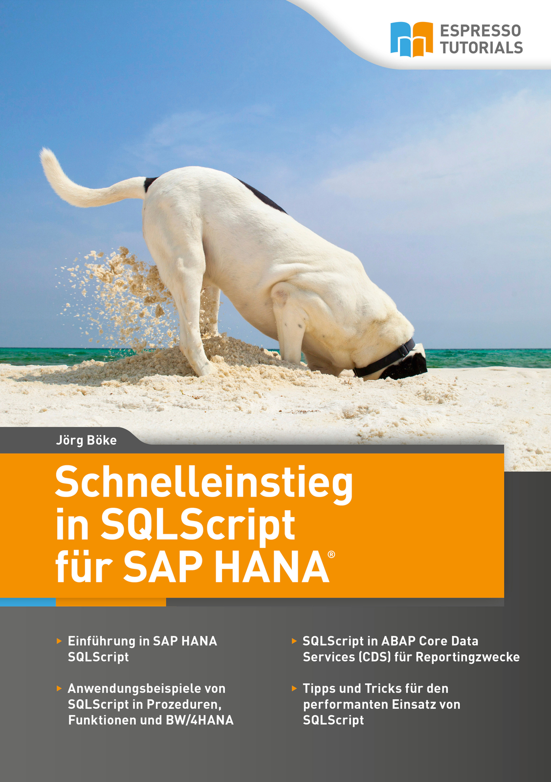 Thumbnail - Jörg Böke / Schnelleinstieg In Sqlscript Für Sap Hana