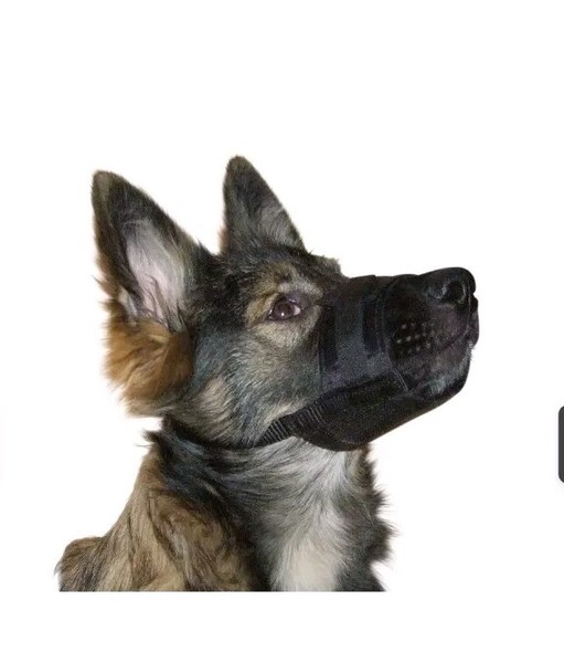 Nylon Maulkorb, Maulschlaufe,Hunde Training,Gr.L, Schwarz,Weich,Kerbl,Neu-image