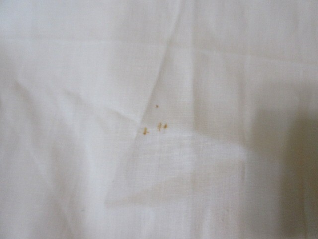 Picture 6 of 6