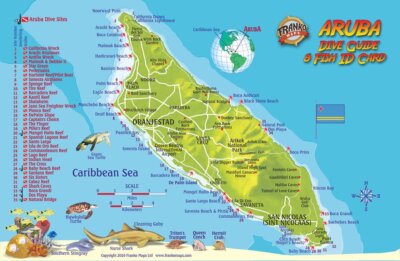 Aruba Dive Map & Coral Reef Creatures Guide Waterproof Fish Card by Franko Maps
