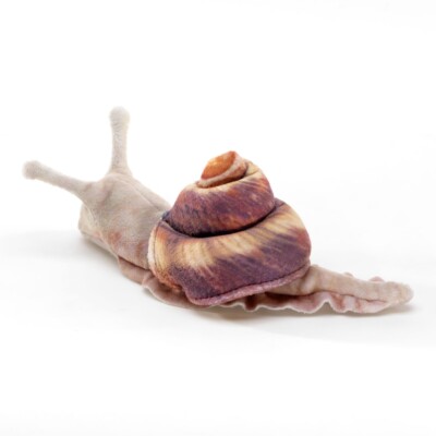 Schnecke Fingerpuppe 8003 Stofftier Kuscheltier Folkmanis