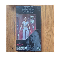 Hasbro Star Wars The Black Series Rey & D-O The Rise of Skywalker Collectible