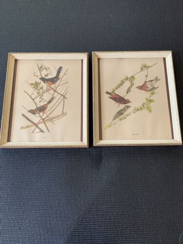 Antique Audubon Towhee and Finch Framed  Prints. - Picture 1 of 6