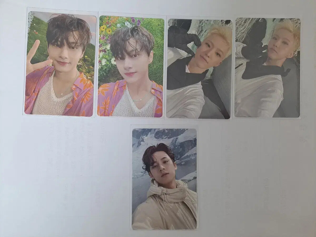 SECTOR 17 seventeen JUN, HOSHI, woozi, MINKYU, Dino Poca 7
