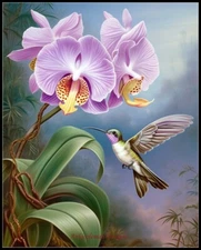 Exotic Orchid and Hummingbird - Chart Counted Cross Stitch Patterns Needlework