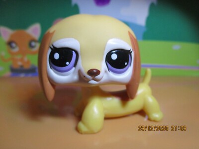 Petshop Dachshund Dog #2529