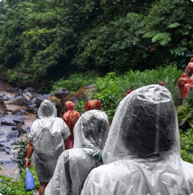ABRIGO IMPERMEABLE TRANSPARENTE IMPERMEABLE CON CAPUCHA PARA ADULTOS DAMAS HOMBRES NUEVO Foto 4 de 4