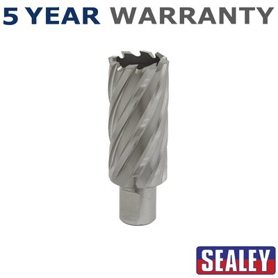 Sealey Worksafe �� 29 mm HSS Mag Bohrer Schnitttiefe 50 mm RBHSS29L