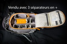 Sac photo Lowepro Whistler BP 450 AW II