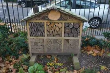 Photo 6x4 Insect hotel, Regent Square Gardens, Camden, London  c2021
