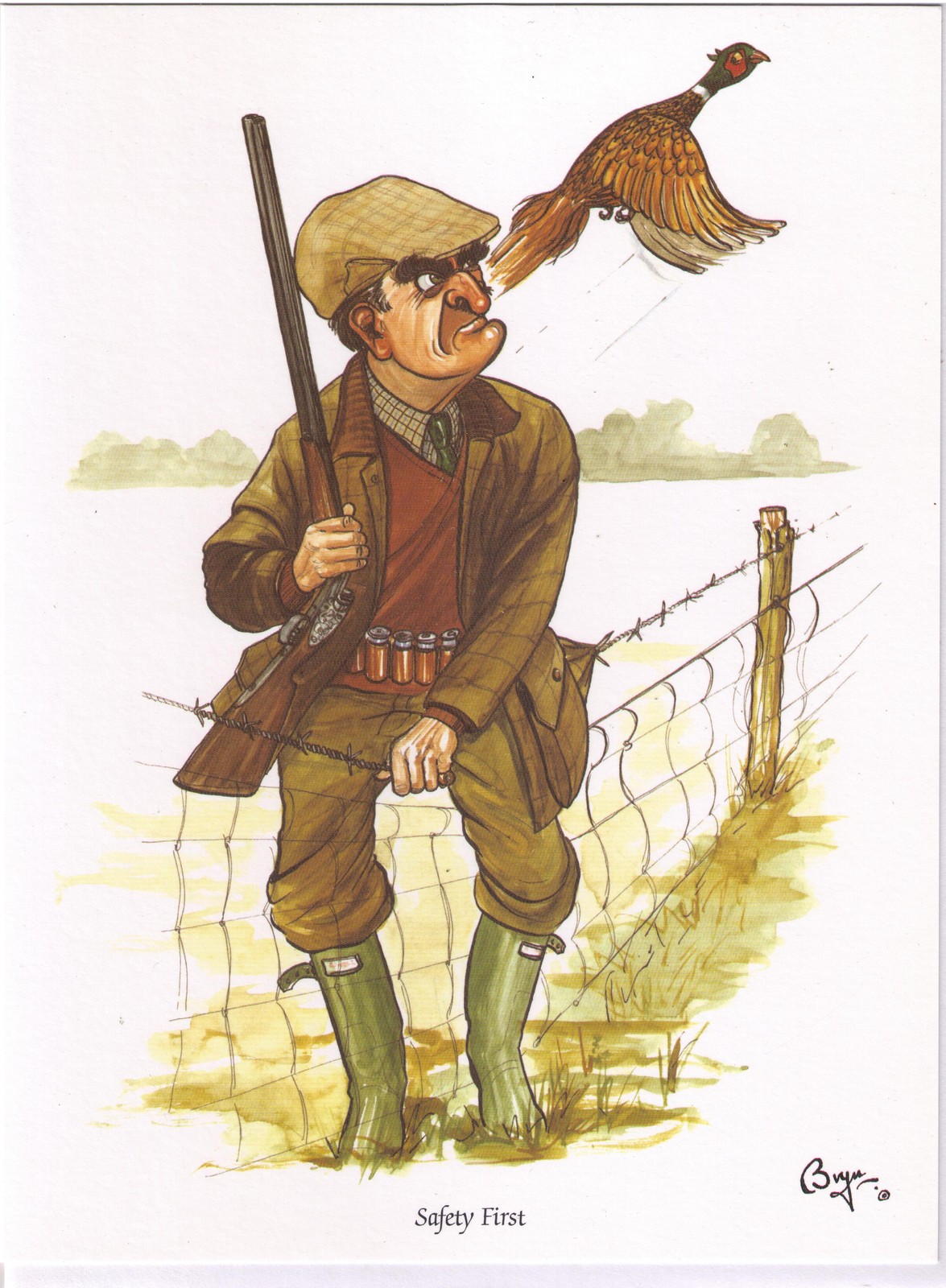 10 mixed Bryn Parry Game Shooting / Pheasant shotgun greeting cards blank inside
