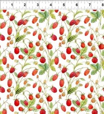Wild Strawberries "Hedgehog Hollow" Fabric BY THE HALF YARD In the Beginning