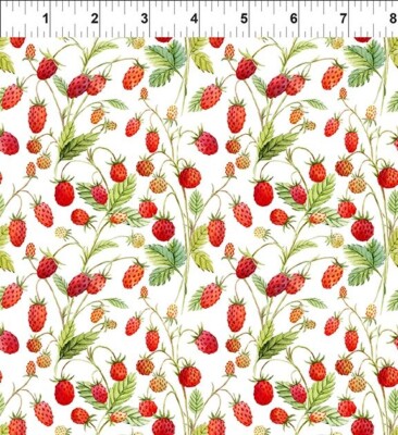 Wild Strawberries ''Hedgehog Hollow'' Fabric BY THE HALF YARD In the Beginning