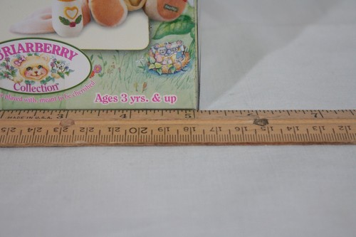 RARE! DISCONTINUED FISHER PRICE TOYS BRIARBERRY BEARS BABY SISTER JULIE NEW - Picture 4 of 6